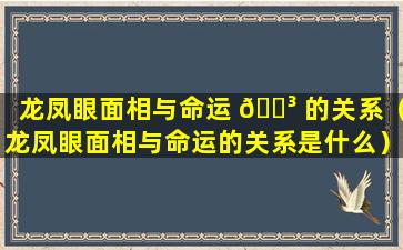 龙凤眼面相与命运 🐳 的关系（龙凤眼面相与命运的关系是什么）